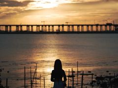 -宝安西湾红树林湿地公园