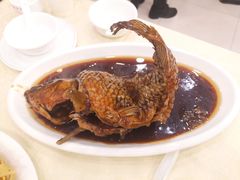 挣蹦鲤鱼-奥华餐厅·老张记(台基厂店)