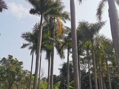 -中国科学院西双版纳热带植物园