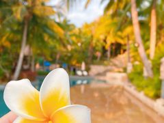 -海南清水湾莱佛士酒店