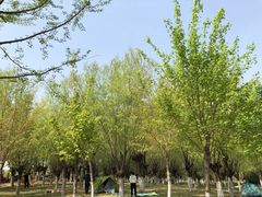 -洨河生态公园