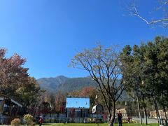-云禾壹海景庄园餐厅