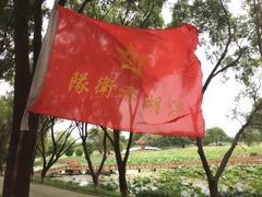 -洪湖生态旅游区