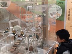 -大阪市立自然史博物馆