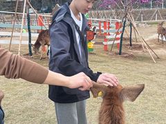 -盈香心动乐园