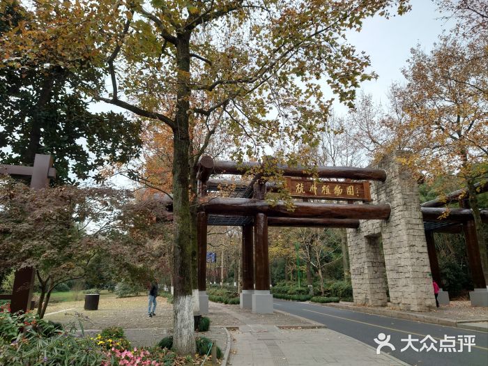 山外山·林语花园餐厅图片