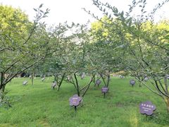 -解香楼(八盘岭路店)