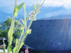 -白川乡与五箇山的合掌构造村落