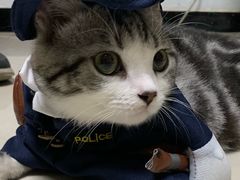 -芭比堂动物医院·犬猫全科·异宠专科(雁塔分院)