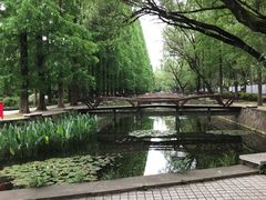 -同济大学本部学苑饮食广场