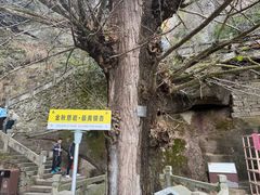-大慈岩风景区