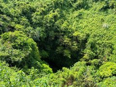 -海口火山口国家地质公园
