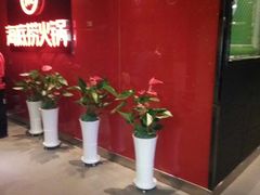-海底捞火锅(团结桥店)
