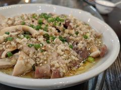 -南海鸽天下(肇庆店)