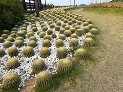 -莆田湄洲妈祖祖庙