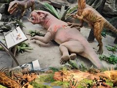 -国家自然博物馆