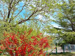 -国家植物园南园