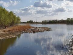 -蒲河岛湿地公园