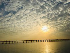 -宝安西湾红树林湿地公园