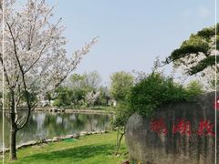 -鹅湖玫瑰文化园