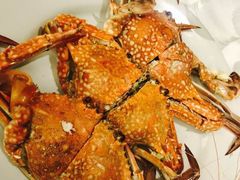 螃蟹-A-ONE皇家邮轮酒店海鲜自助餐