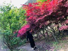-东海大峡谷