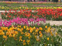 -石家庄市植物园