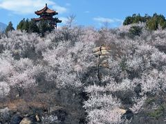-白水寺森林公园