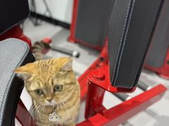 -超减·私教减肥馆(世博店)