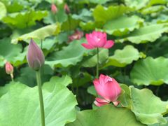 -韶山毛泽东同志故居