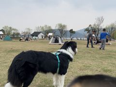 -南北湖风景区
