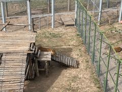 -青藏高原野生动物园