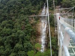 -九龙江国家森林公园