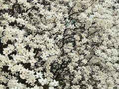 -外高桥保税区南(地铁站)