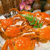 酒醉六月黄，疯狂畅吃就在“降霜牛”