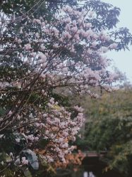 -莲生母婴月子中心(清水河公园店)