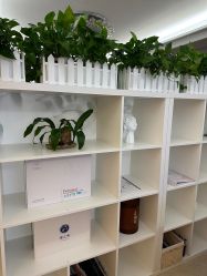 -奕美功能性体态调整·塑型·产后恢复(永利国际店)