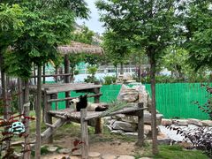 -西霞口神雕山野生动物世界