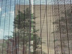 -BeauTea水仙(coco park店)