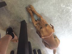 iphone_upload_pic-炙热童年·老北京炙子烤肉(南锣鼓巷店)