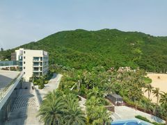 -东澳岛