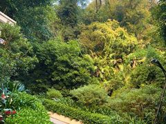 -广州市白云山风景名胜区