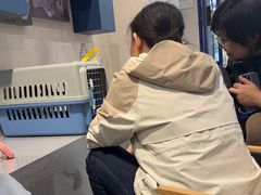 -伟伟宠物医院·CT影像中心·瑞派犬猫综合性门诊(汉口总院)