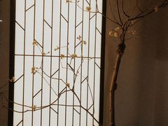 -小厨娘淮扬菜(六合欢乐港店)