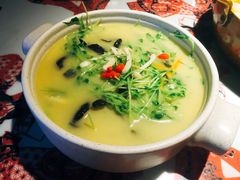 豆苗-小米俏当家