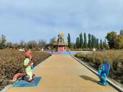 -金塔沙漠胡杨林景区