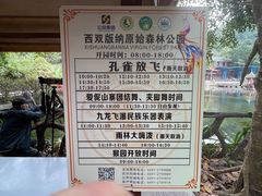 -西双版纳原始森林公园