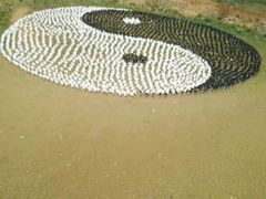 -千岛湖龙川湾