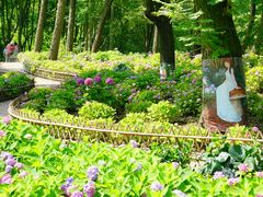 -上海共青森林公园