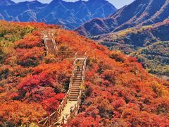 -水峪民俗村